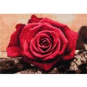 Diamond Painting Haft Diamentowy Mozaika Zestaw 5D Płótno Rama 20X30