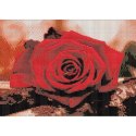 Diamond Painting Haft Diamentowy Mozaika Zestaw 5D Płótno Rama 20X30
