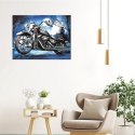 MALOWANIE PO NUMERACH OBRAZ Z RAMĄ DIY ZESTAW PĘDZLE FARBY PŁÓTNO 30x40