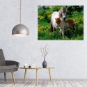 MALOWANIE PO NUMERACH OBRAZ Z RAMĄ DIY ZESTAW PĘDZLE FARBY PŁÓTNO 40x50