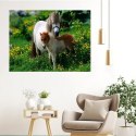 MALOWANIE PO NUMERACH OBRAZ Z RAMĄ DIY ZESTAW PĘDZLE FARBY PŁÓTNO 40x50
