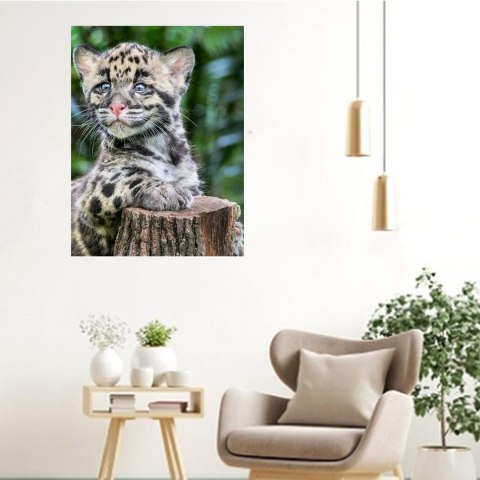 MALOWANIE PO NUMERACH OBRAZ Z RAMĄ DIY ZESTAW PĘDZLE FARBY PŁÓTNO 40x50