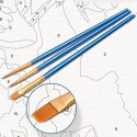 Malowanie po numerach liczbach + Haft diamentowy 2w1 zestaw 5D 40x50 cm