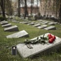 120x Wkład do Zniczy Świeczka na Baterie Świeca Led 15 cm Efekt Płomienia