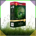 Premium Trawa Nasiona Mieszanka SHADE 1kg 40m Zaciemnione Miejsca do Cienia