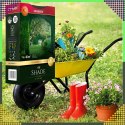 Premium Trawa Nasiona Mieszanka SHADE 1kg 40m Zaciemnione Miejsca do Cienia