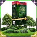 Premium Trawa Nasiona Mieszanka SHADE 1kg 40m Zaciemnione Miejsca do Cienia