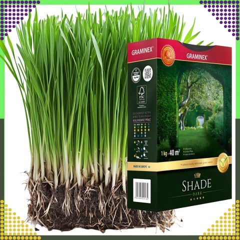 Premium Trawa Nasiona Mieszanka SHADE 1kg 40m Zaciemnione Miejsca do Cienia