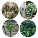 Pergola Ogrodowa Tarasowa Metalowa Podpora do Pnączy Róż Kwiatów 50x10cm zielona