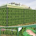4 x Taśma Ogrodzeniowa 19cm x 35m Osłona Panelowa na Ogrodzenie Płot UV Liście