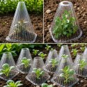 Klosz Osłona 22cm do Roślin Sadzonek Szklarnia Klosze Zabezpieczające 10szt