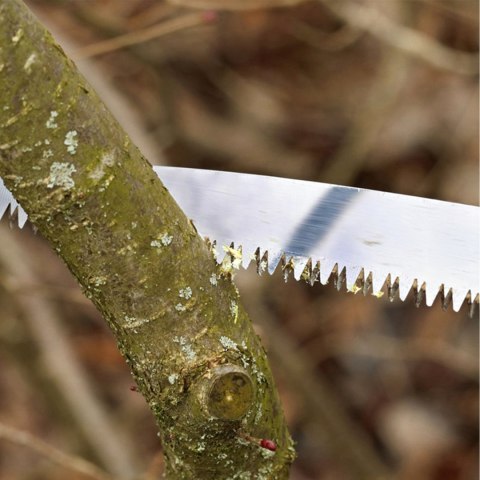 Piła Ręczna do Gałęzi Drewna Drzewa z Hakiem Piłka Ogrodowa Stalowa 40cm