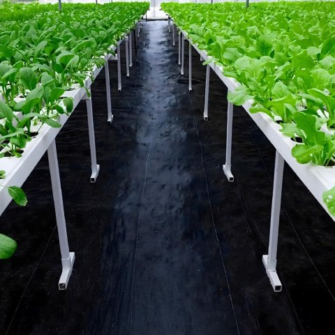 Agrowłóknina 140G 1,1x50m Czarna UV Agrotkanina Mata Antychwastowa