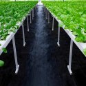 Agrowłóknina 140G 1,6x50m Czarna UV Agrotkanina Mata Antychwastowa