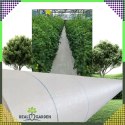 Agrowłóknina 70g 1,6x100m Biała UV Agrotkanina Mata Antychwastowa + Kotwy