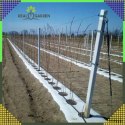 Agrowłóknina 70g 1,6x50m Biała UV Agrotkanina Mata Antychwastowa + Kotwy
