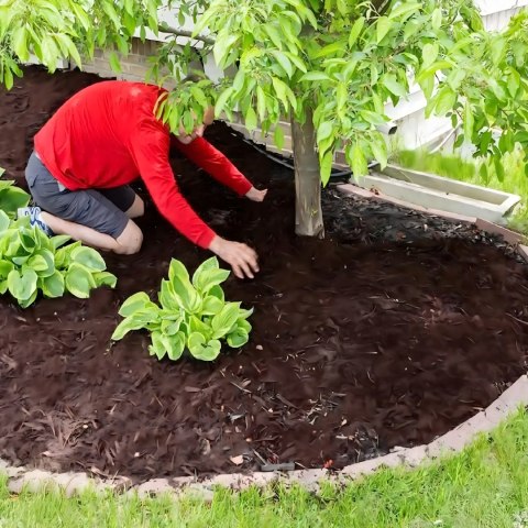 Agrowłóknina 70g 1,6m x 50m Czarna UV Agrotkanina Mata Antychwastowa