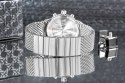 Zegarek Męski ZEPPELIN 100 Jahre Chronograph 8680M-3 + BOX